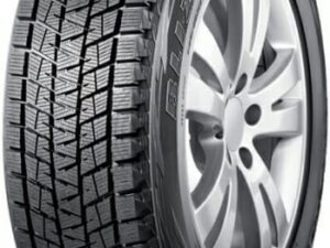 Bridgestone Blizzak DM-V1