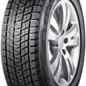 Bridgestone Blizzak DM-V1