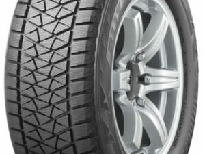 Bridgestone Blizzak DM-V2