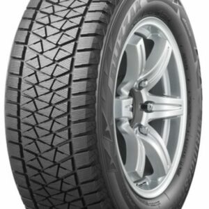 Bridgestone Blizzak DM-V2